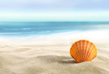 告别与希望：奥地利与法国，欧国联征程的终章与新篇