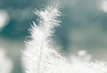 告别与希望：奥地利与法国，欧国联征程的终章与新篇