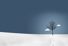 告别与希望：奥地利与法国，欧国联征程的终章与新篇