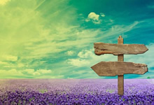 告别与希望：奥地利与法国，欧国联征程的终章与新篇