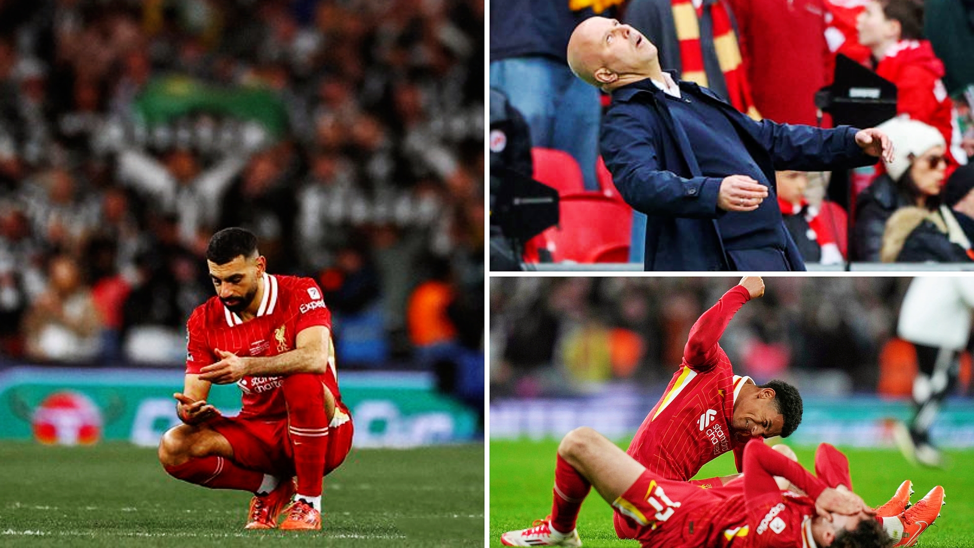 利物浦-大胜纽卡斯尔,豪取三分的简单介绍 利物浦-大胜纽卡斯尔,豪取三分的简单介绍